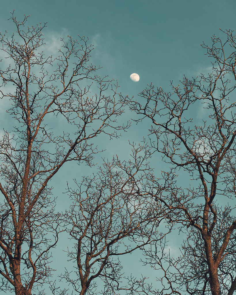 Day Moon