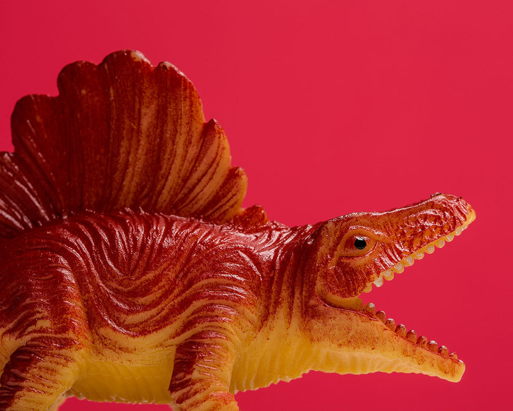 Dimetrodon